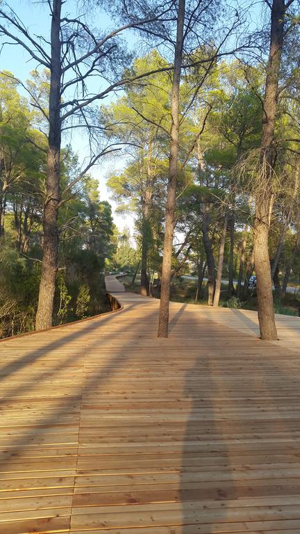 מלון דיוויאקה Fori Vodo מראה חיצוני תמונה